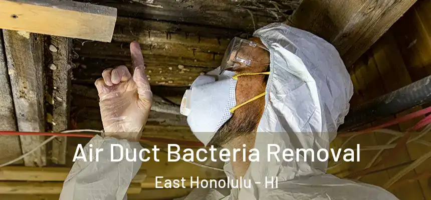  Air Duct Bacteria Removal East Honolulu - HI