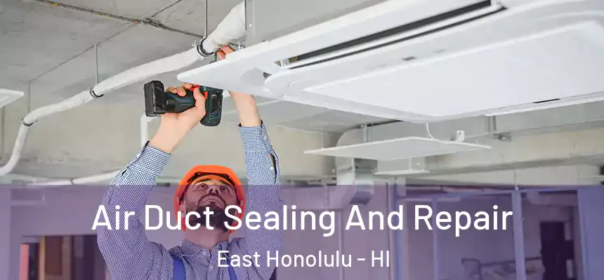 Air Duct Sealing And Repair East Honolulu - HI