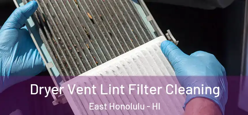  Dryer Vent Lint Filter Cleaning East Honolulu - HI
