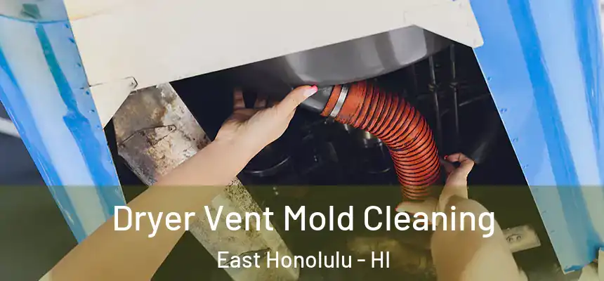  Dryer Vent Mold Cleaning East Honolulu - HI