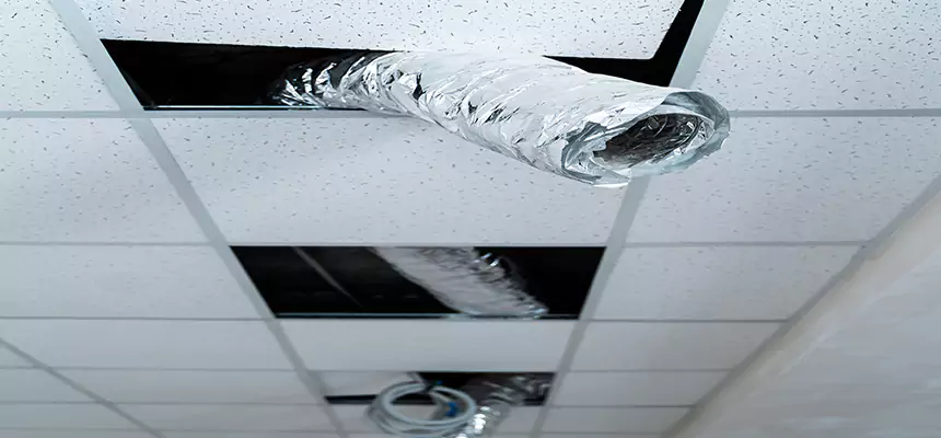 Our Air Duct Pet Hair Removal Services in East Honolulu, HI