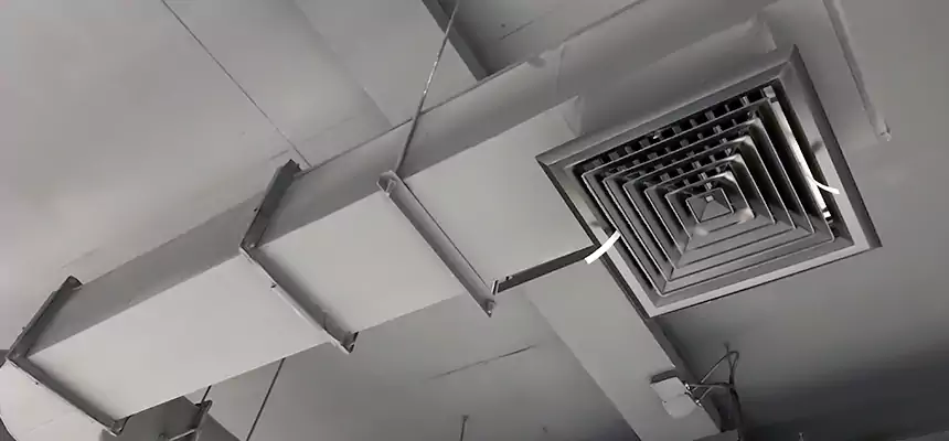 Our Pest Removal From Ducts Services in East Honolulu, HI