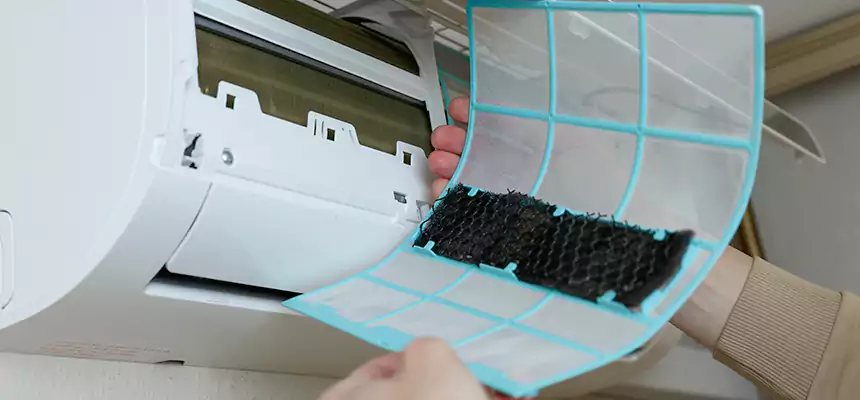 Gentle Ductwork Odor-Control Pet Dander Duct Cleaning in East Honolulu, HI