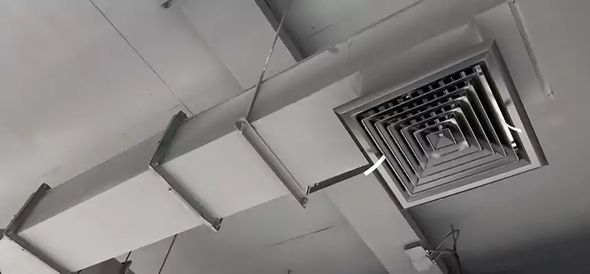 Our Rodent Droppings In Vents Services in East Honolulu, HI