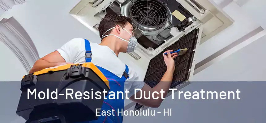  Mold-Resistant Duct Treatment East Honolulu - HI