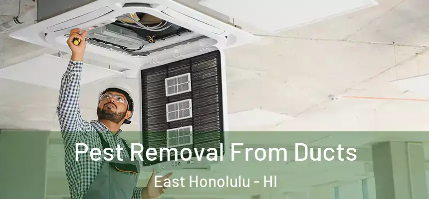  Pest Removal From Ducts East Honolulu - HI