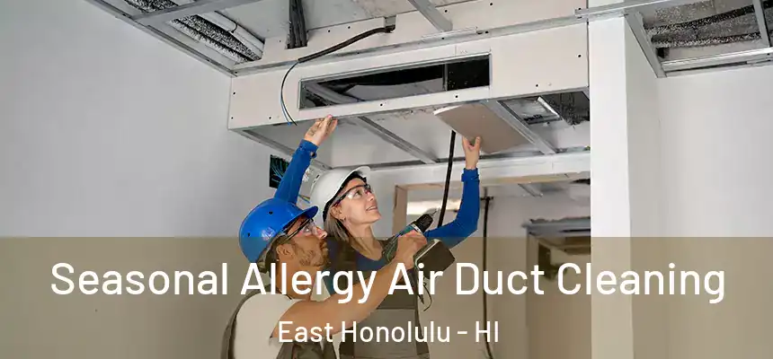  Seasonal Allergy Air Duct Cleaning East Honolulu - HI
