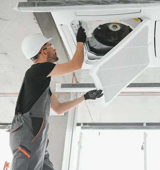 About Air Duct Rodent Removal in East Honolulu, HI