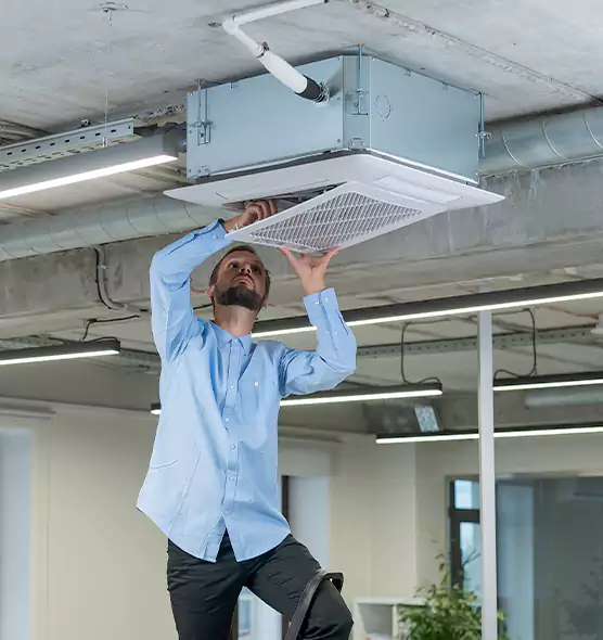 Advanced Rodent Droppings In Vents in East Honolulu, HI