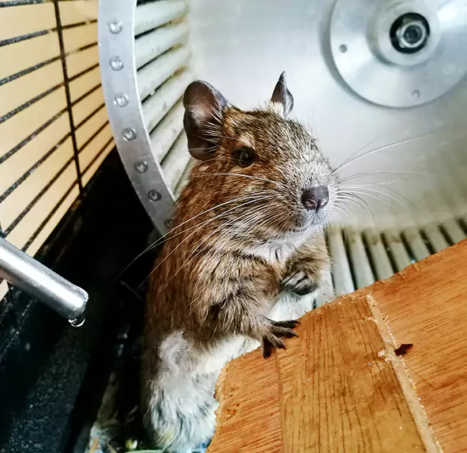 Why Homeowners & Businesses Trust Us East Honolulu, HI