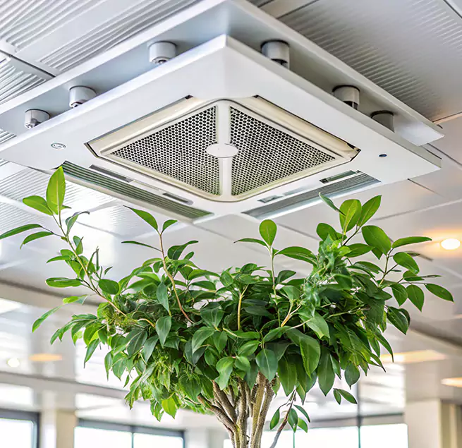 Why Homeowners & Businesses Trust Us in East Honolulu, HI?