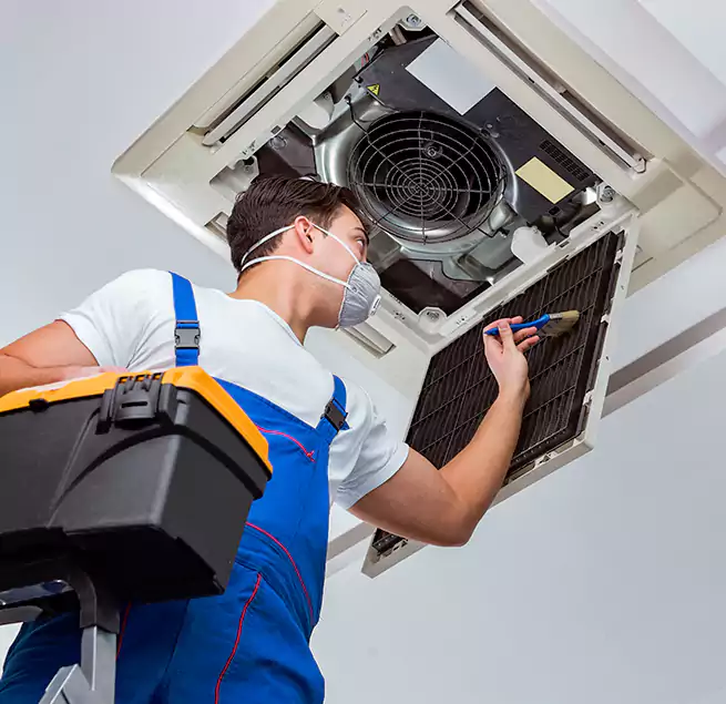 Why Homeowners & Businesses Trust Us in East Honolulu, HI?