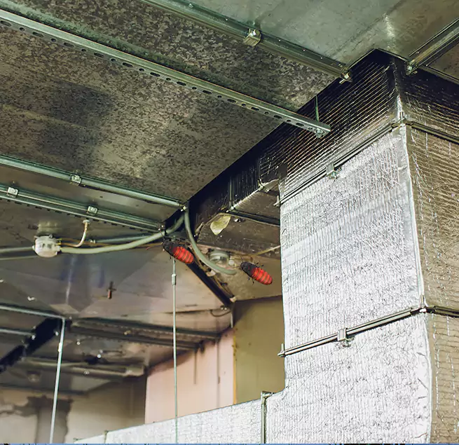 Why Homeowners & Businesses Trust Us East Honolulu, HI?