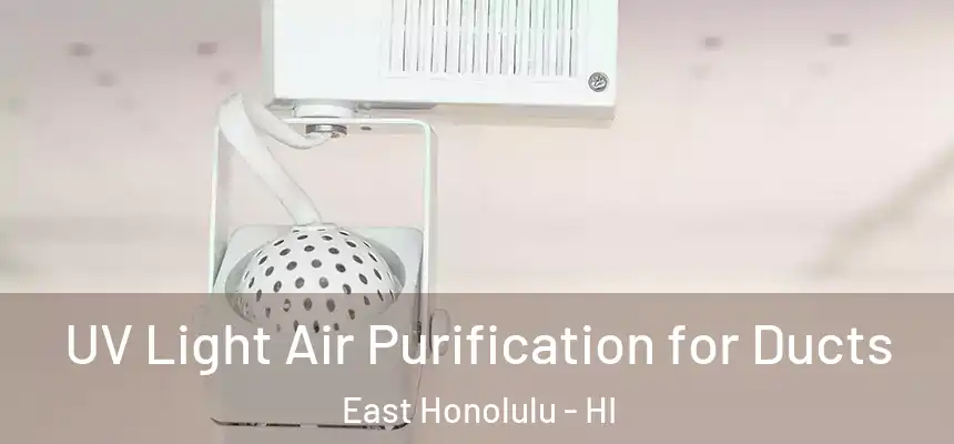  UV Light Air Purification for Ducts East Honolulu - HI